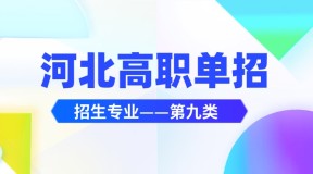 2023年河北高职单招农村电子商务招生计划/招多少人？