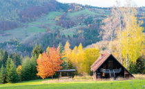 有必要花一万多报单招培训机构吗?单招网课有推荐吗?