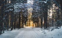 2024年河北单招社会考生是否能报名统考单招计划?