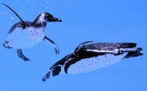 真的很迷茫,我到底该不该单招?