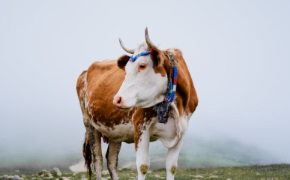 什么样的学生更适合走单招?