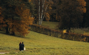 河北单招哪个大类更适合女生?